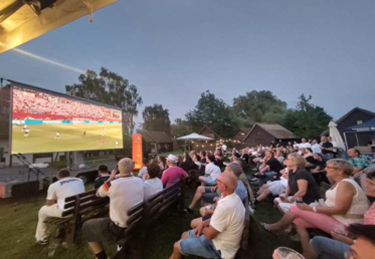 public viewing 2026