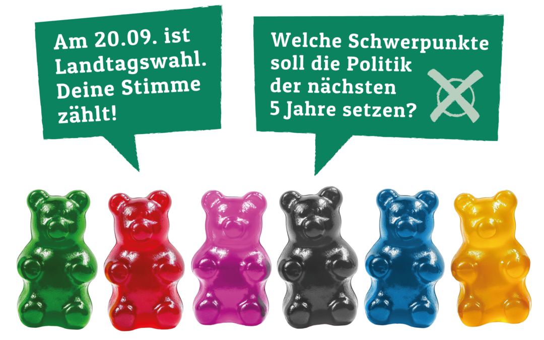 Wahl-O-Mat in Demmin